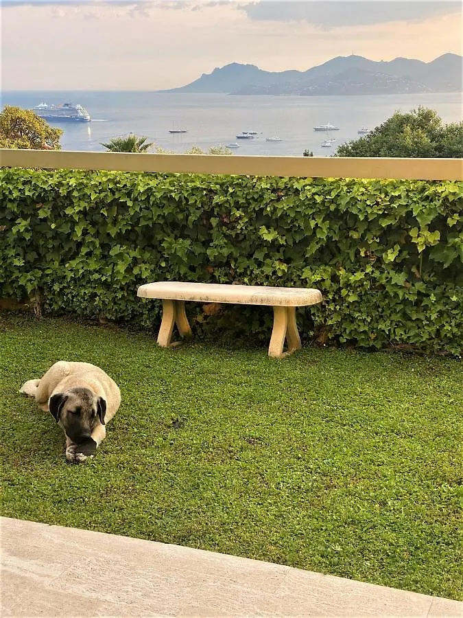 شقة Appartement - Villa Le Saint Georges Avec Superbe Jardin Et Vue Mer Panoramique كان
